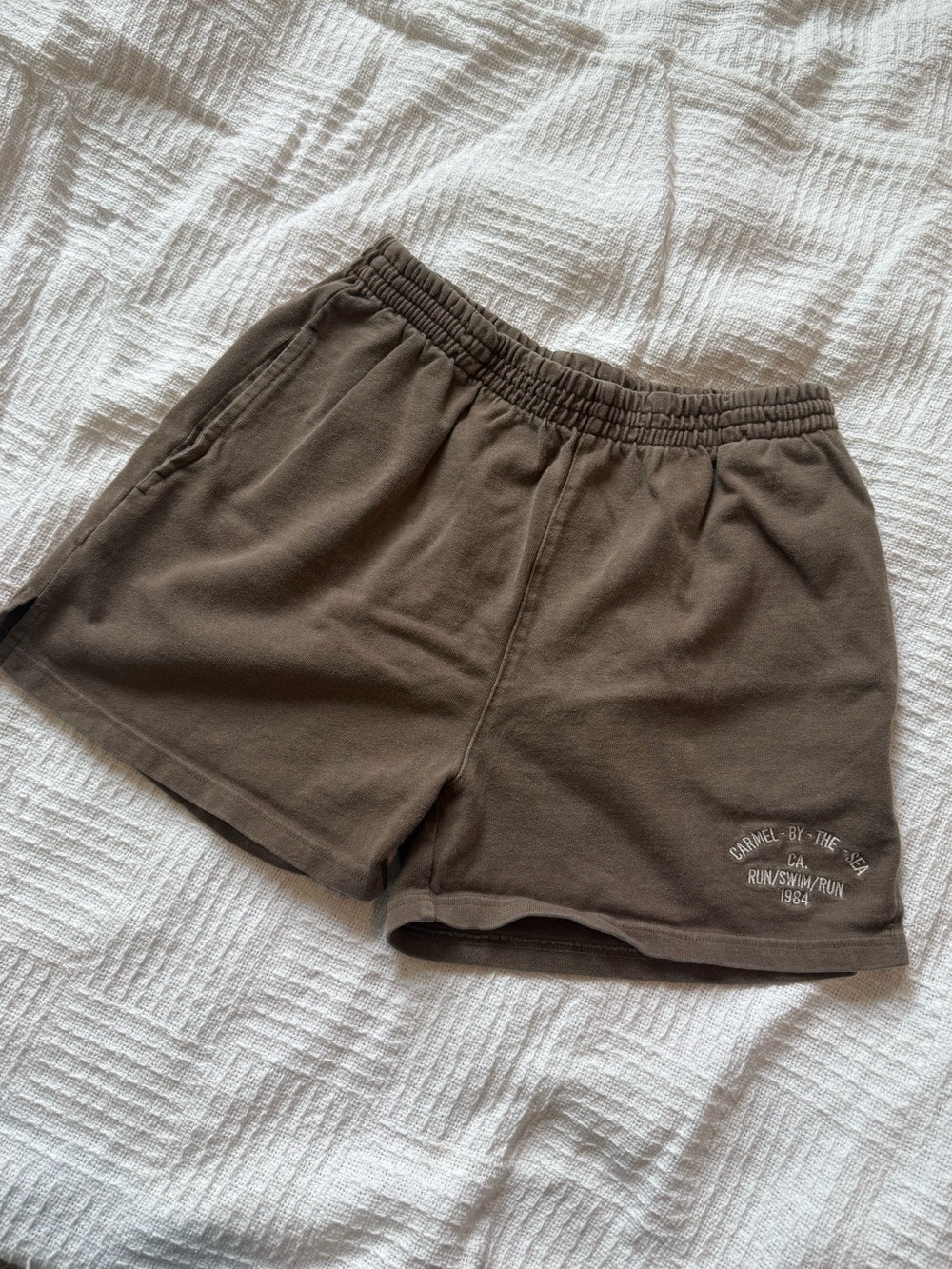 Brandy Melville Brown Shorts